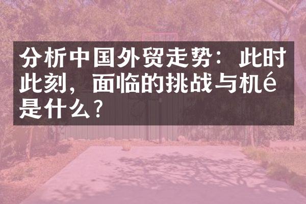 分析中国外贸走势：此时此刻，面临的挑战与机遇是什么？