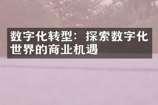 数字化转型：探索数字化世界的商业机遇