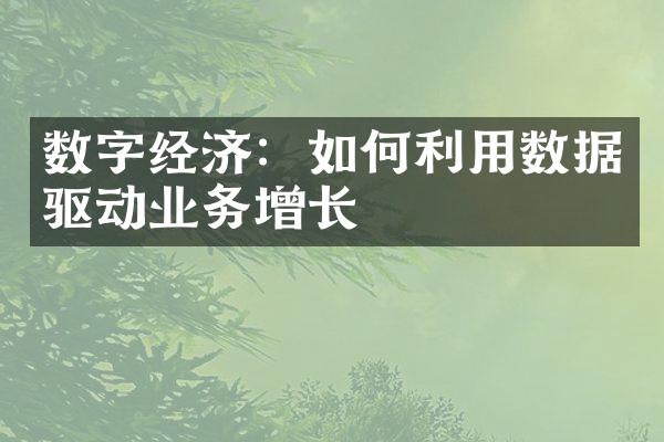 数字经济：如何利用数据驱动业务增长