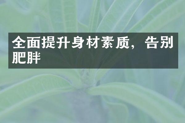 全面提升身材素质，告别肥胖