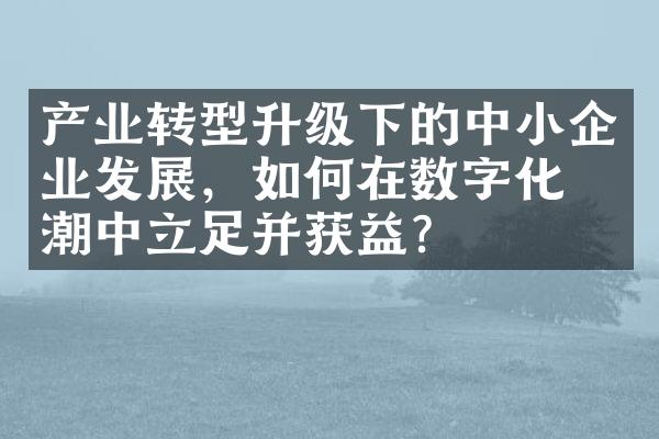 产业转型升级下的中小企业发展，如何在数字化浪潮中立足并获益？