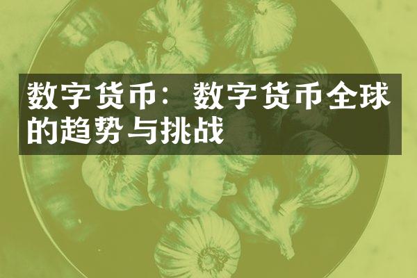 数字货币：数字货币全球的趋势与挑战