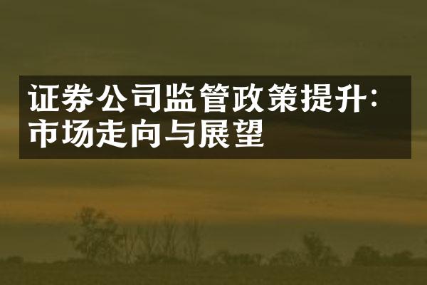 证券公司监管政策提升：市场走向与展望