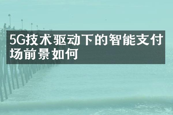 5G技术驱动下的智能支付市场前景如何