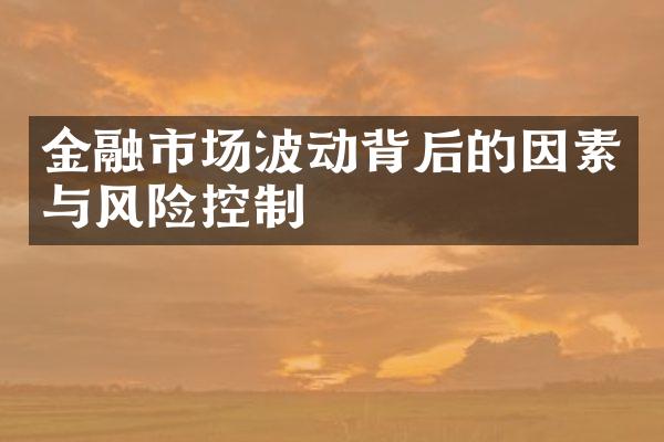 金融市场波动背后的因素与风险控制