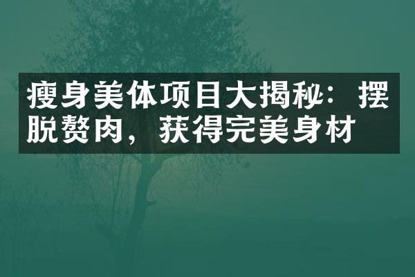 瘦身美体项目大揭秘：摆脱赘肉，获得完美身材