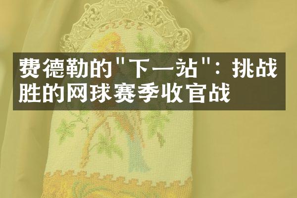 费德勒的"下一站": 挑战必胜的网球赛季收官战