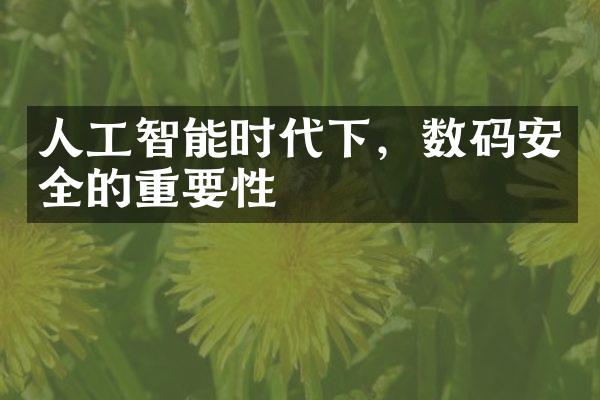 人工智能时代下，数码安全的重要性