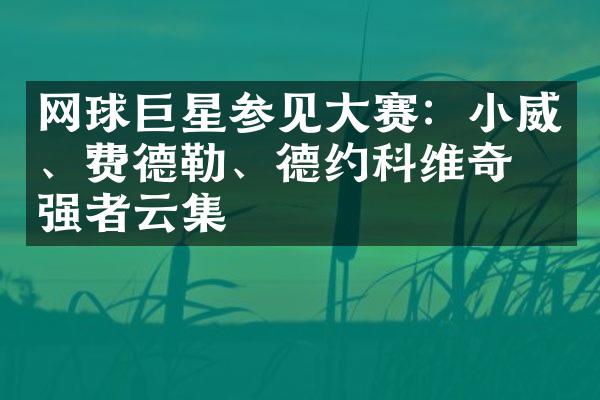 网球巨星参见大赛：小威、费德勒、德约科维奇等强者云集