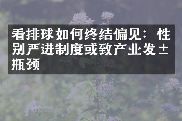 看排球如何终结偏见：性别严进制度或致产业发展瓶颈