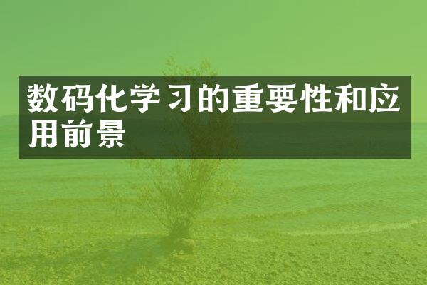 数码化学习的重要性和应用前景