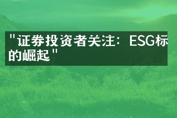 "证券投资者关注：ESG标准的崛起"