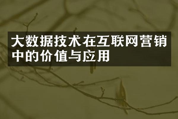 大数据技术在互联网营销中的价值与应用