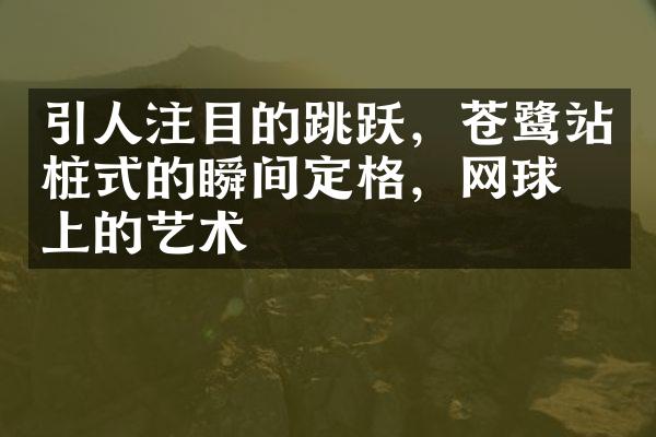 引人注目的跳跃，苍鹭站桩式的瞬间定格，网球场上的艺术