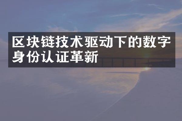 区块链技术驱动下的数字身份认证革新