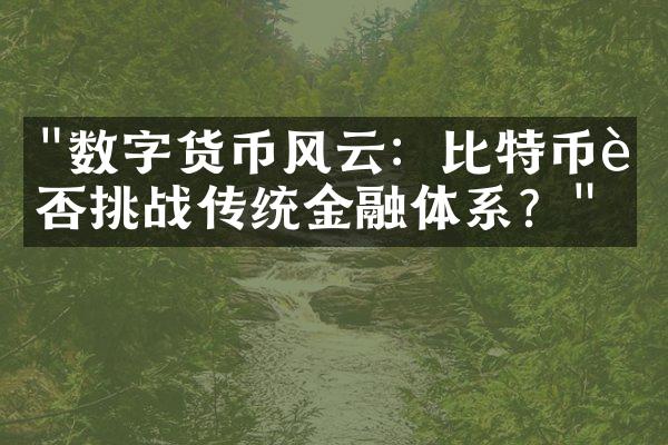 "数字货币风云：比特币能否挑战传统金融体系？"