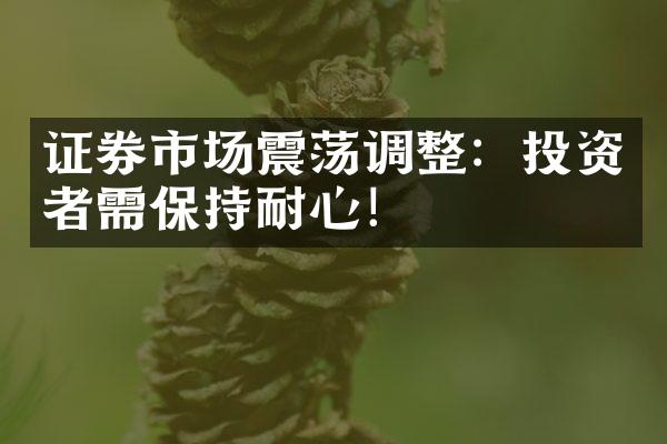 证券市场震荡调整：投资者需保持耐心！