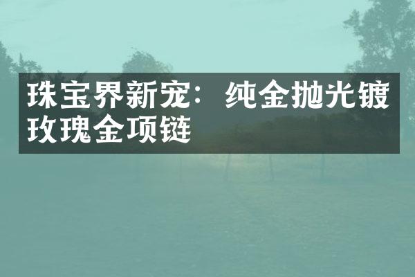 珠宝界新宠：纯金抛光镀玫瑰金项链