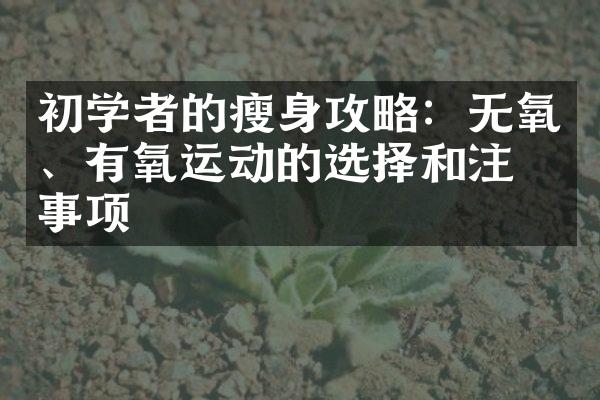 初学者的瘦身攻略：无氧、有氧运动的选择和注意事项