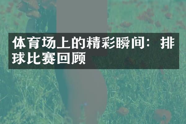 体育场上的精彩瞬间：排球比赛回顾