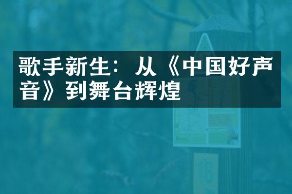 歌手新生：从《好声音》到舞台辉煌