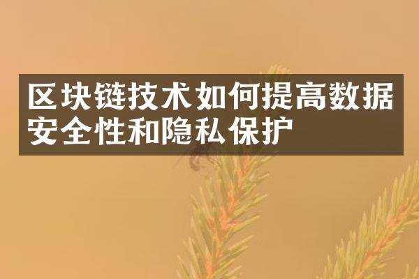 区块链技术如何提高数据安全性和隐私保护