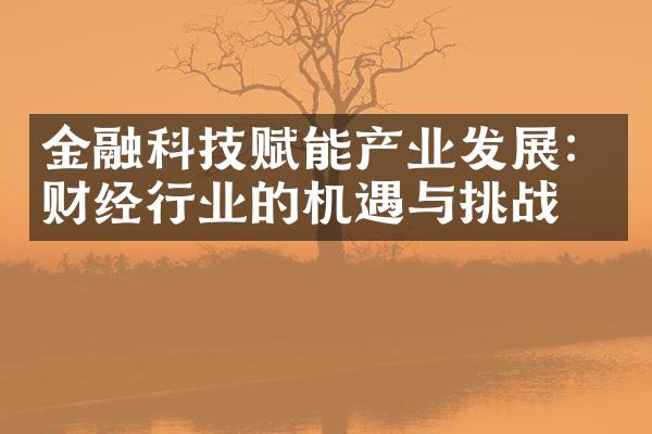 金融科技赋能产业发展：财经行业的机遇与挑战