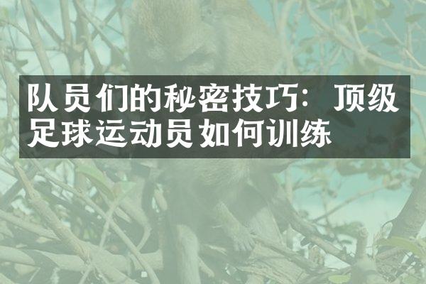 队员们的秘密技巧：顶级足球运动员如何训练