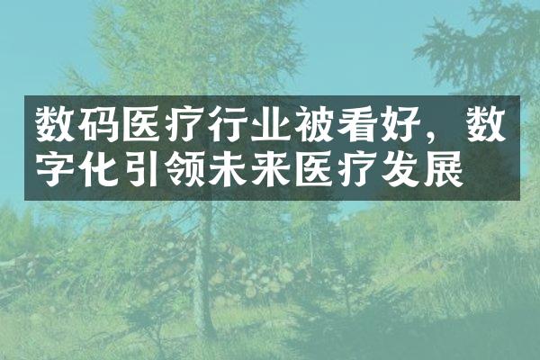 数码医疗行业被看好，数字化引领未来医疗发展