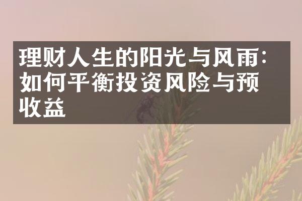 理财人生的阳光与风雨：如何平衡投资风险与预期收益