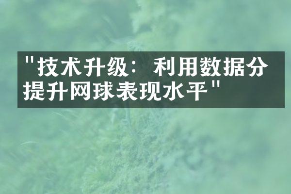 "技术升级：利用数据分析提升网球表现水平"