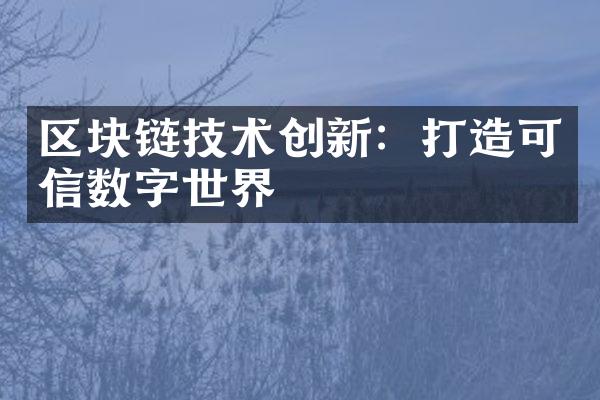 区块链技术创新：打造可信数字世界