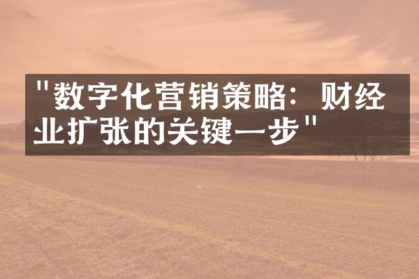 "数字化营销策略：财经企业扩张的关键一步"