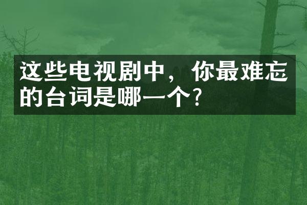 这些电视剧中，你最难忘的台词是哪一个？