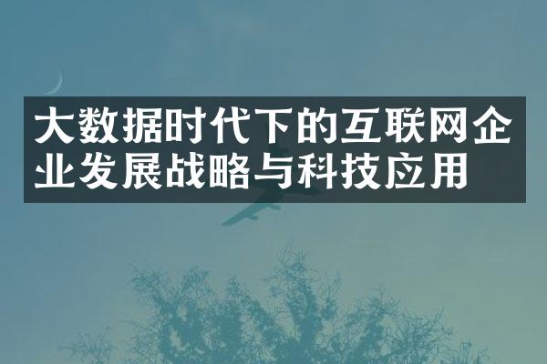 大数据时代下的互联网企业发展战略与科技应用