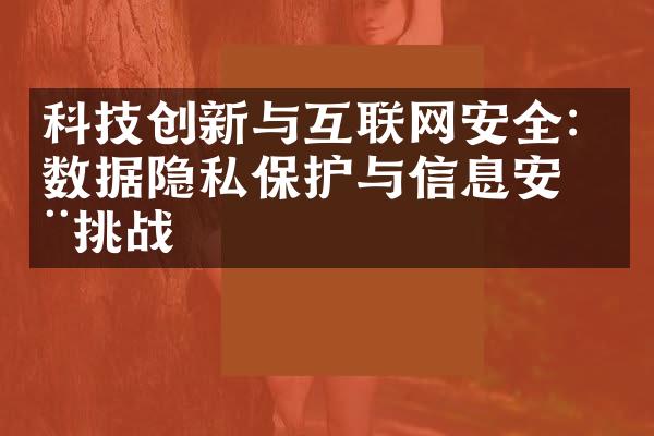 科技创新与互联网安全：数据隐私保护与信息安全挑战