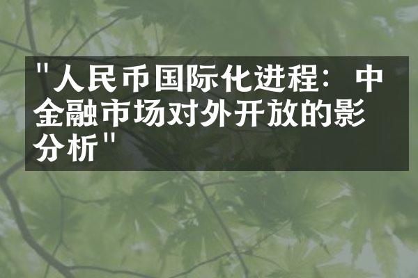 "人民币国际化进程：中国金融市场对外开放的影响分析"