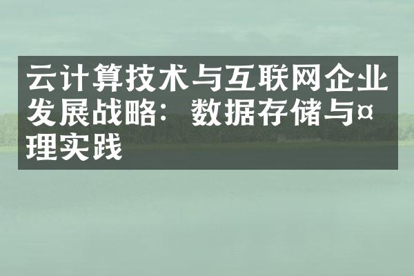 云计算技术与互联网企业发展战略：数据存储与处理实践