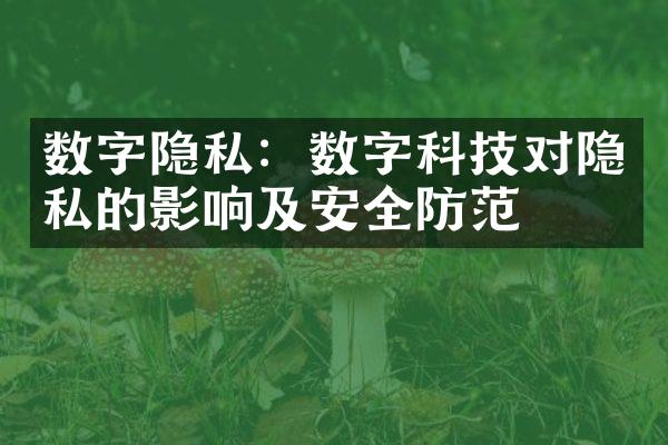 数字隐私：数字科技对隐私的影响及安全防范