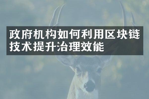 机构如何利用区块链技术提升治理效能