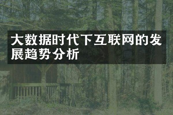 大数据时代下互联网的发展趋势分析