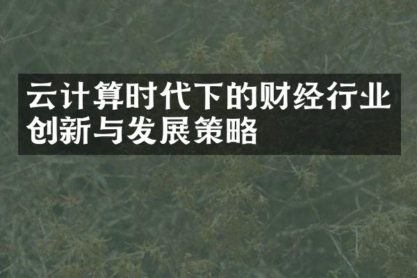 云计算时代下的财经行业创新与发展策略