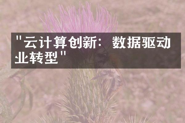 "云计算创新：数据驱动企业转型"