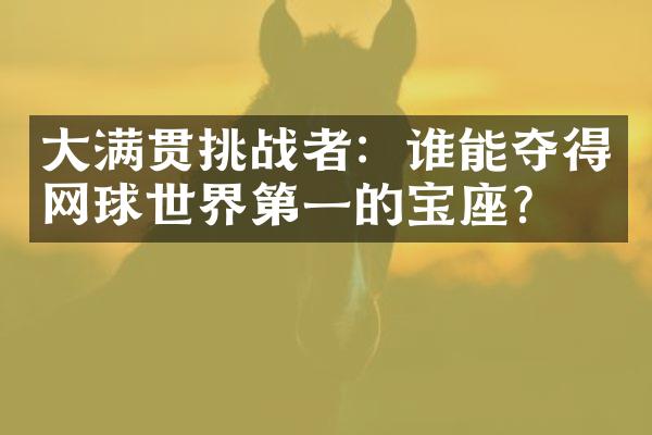 大满贯挑战者：谁能夺得网球世界第一的宝座？