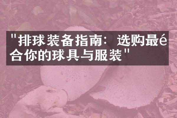 "排球装备指南：选购最适合你的球具与服装"