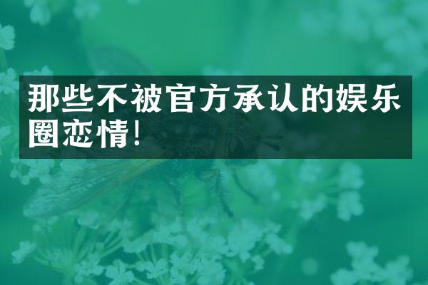 那些不被官方承认的娱乐圈恋情！