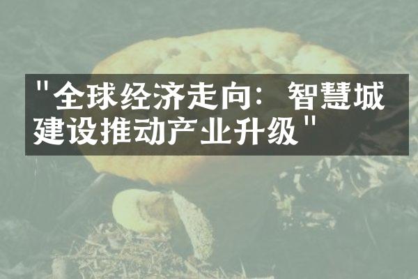 "全球经济走向：智慧城市建设推动产业升级"