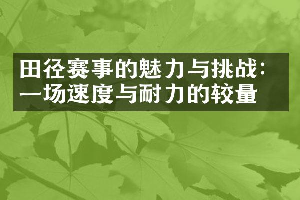 田径赛事的魅力与挑战：一场速度与耐力的较量