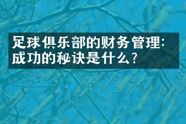 足球俱乐部的财务管理：成功的秘诀是什么？