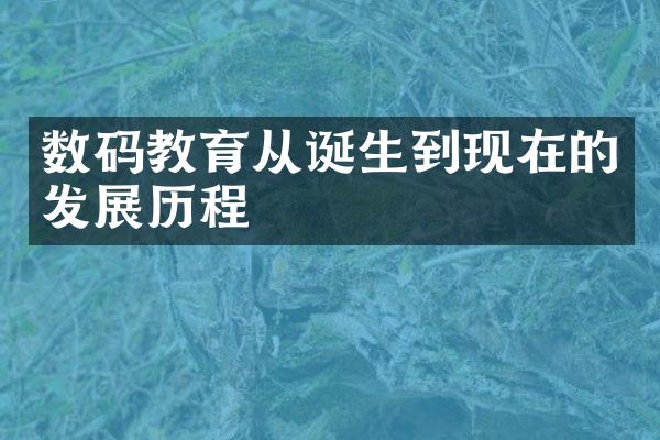 数码教育从诞生到现在的发展历程